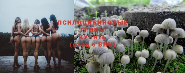 spice Белокуриха