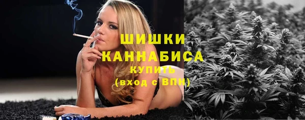 spice Белокуриха
