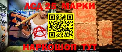 амф Кандалакша