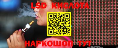 амф Кандалакша