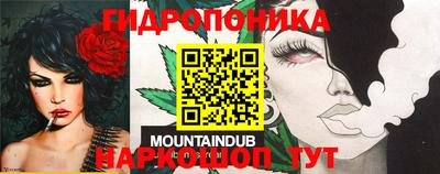 амф Кандалакша