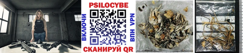 Псилоцибиновые грибы мухоморы Минеральные Воды