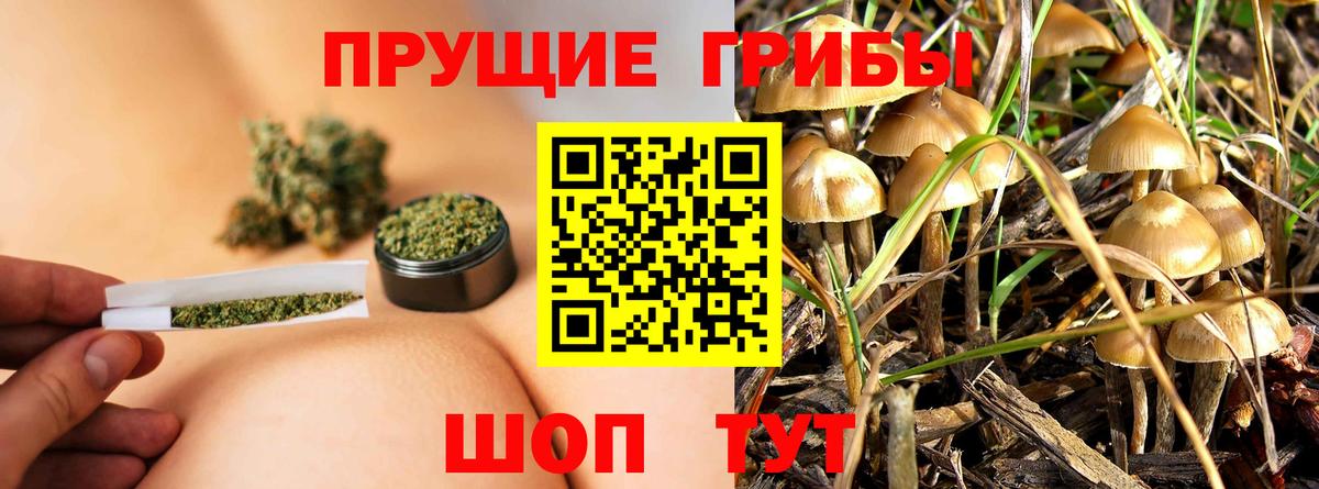 Псилоцибиновые грибы GOLDEN TEACHER Минеральные Воды